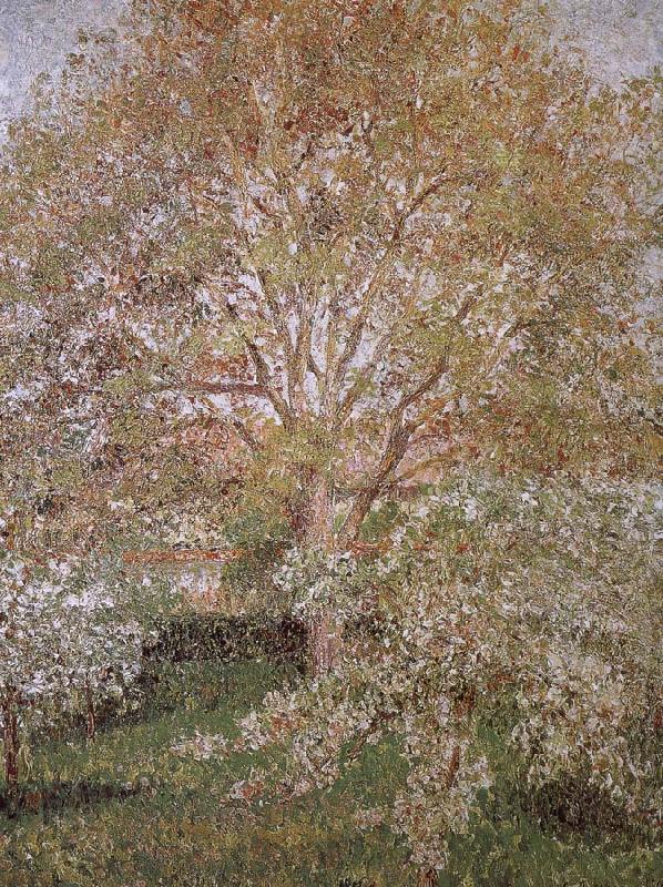 Camille Pissarro Walnut and apple trees oil painting picture